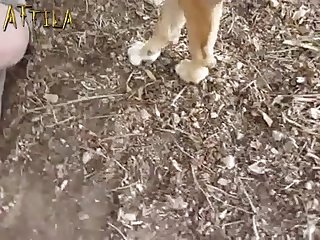Horse Withdrew A Little Snorted And Drove Forward