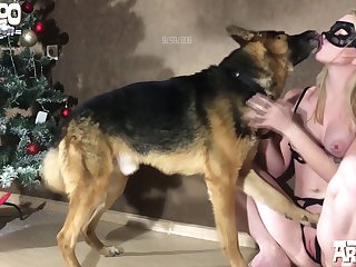 Pornagraphic Sites Bestiality