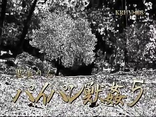 Rex Horse He's Pretty Green One Of The Cowboys Asked