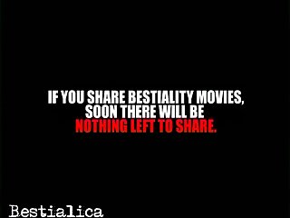 Wait After You Go I Asked Startled