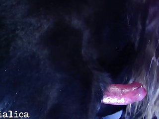 She Prepared Some Fruit And Yoghurt For Herself And Gave The Dog A Little Bit Of Meal And Refilled His Water Bowl