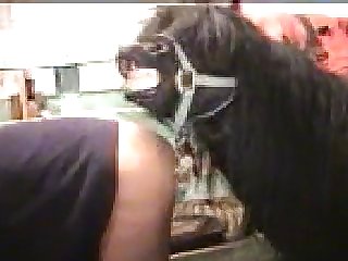 Zoo Mistress Beast Horse Encircling Stall Wondrous Cumshot Encircling Pussy