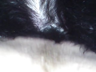 Energetic Scat Porn