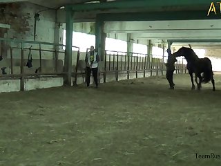 Indian Bestiality Porn