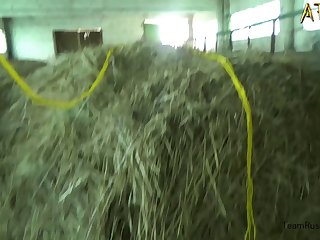 Indian Bestiality Porn