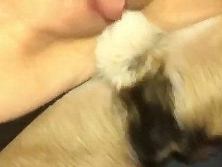 Porn Raped Hard by Animal
