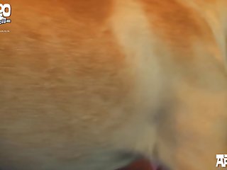 Animal Unbirth Porn