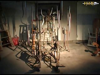 Zoofilia Brute Anal
