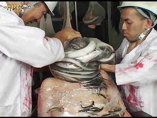 Zoofilia De Burro