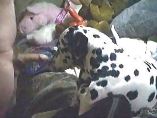 Experimental Masturbating Porn