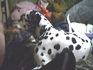 Experimental Masturbating Porn