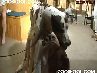 Extreme Rubbing away Pussy Porn