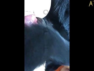 Extreme Cum Porn Gif