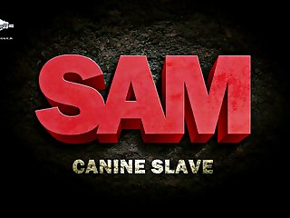 Advanced Slave Animal Porn