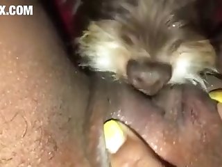 Get through a disband Scat Porn