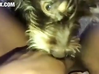 Really Dissolute Pussy