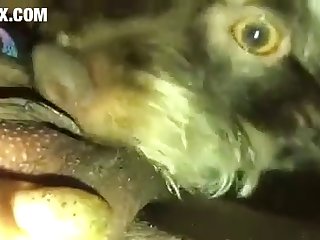 Wallet Cock Handjob