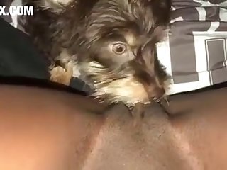 Stimulated Bitches Movie