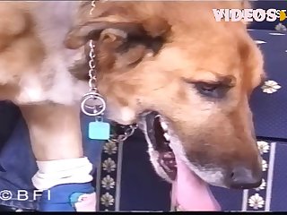 Dog Fuck Cartoons