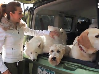 Beastialty Porn Free