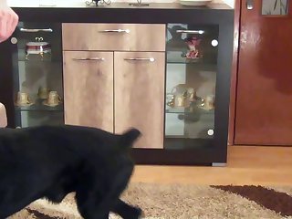 Zootube4