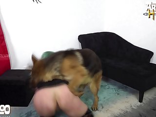 Tickszoo