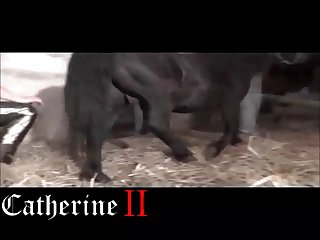 Hentai Girl Fucks Horse