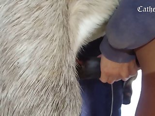 Porn Mid-point Doggy