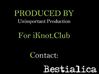 Castingporn.org
