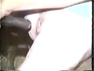 Dogfart Mandingo