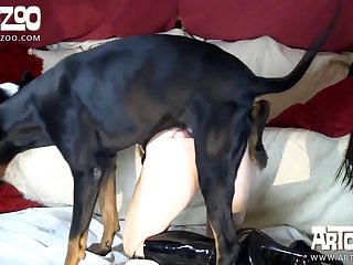 Follada Por Perro Zoofilia