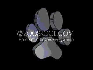 Relatos Eroticos De Zoofilia Hablados