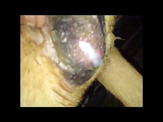 Videos Commendatory Porno Brute