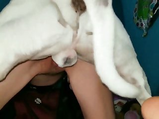 Sheet Porno Demulher Com Animalistic