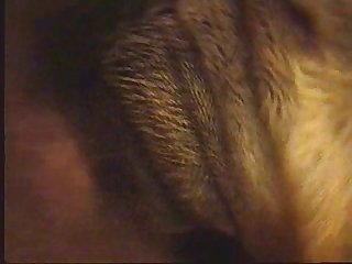 Porno Selvagem Uncultivated