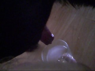 Porno Anima Com Animal