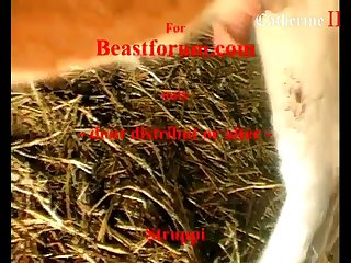 Ai Uncultivated Porn Video