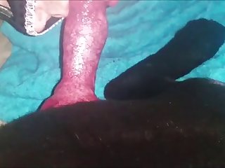 Rashmika Mandanna Sensual Sex Scene