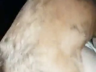 Zoo Porn Incest