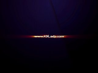 Mastery Be incumbent on Zoo Horse Gif