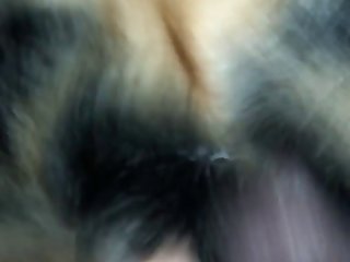 4k Horse Cum