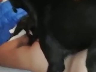 Video De Sexo Orgia