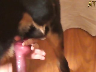 Pick Zoological garden Dog Ai