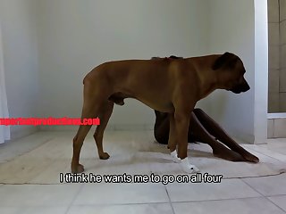 Xxxdoge