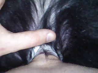 Pene De Caballo