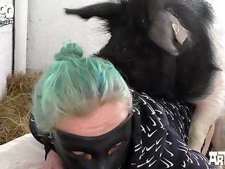 Devotehuendin Mr. Pig