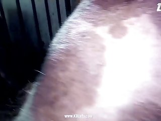 Ariel Dynamite Touch 002