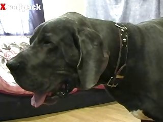 Camsoda Cam