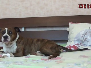 Team shithole Petlove Tanya Rocco Ravishes shithole 001