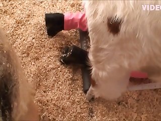 Kinkypinky xxx xnxx1